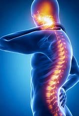 nerve shield pro work